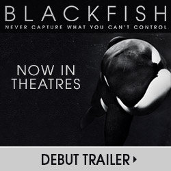 Blackfish